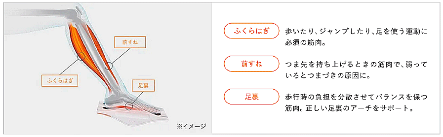 敬老の日キャンペーン　FootFit3