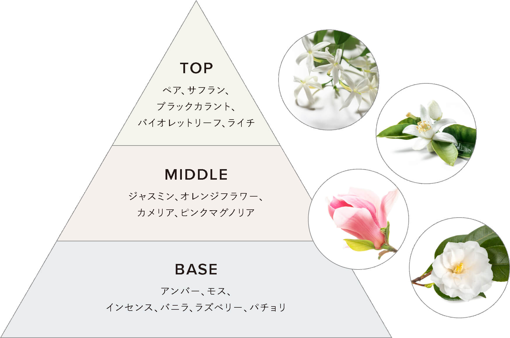 花々のみずみずしい息吹が重なり合う、上品なブライトブルームの香り