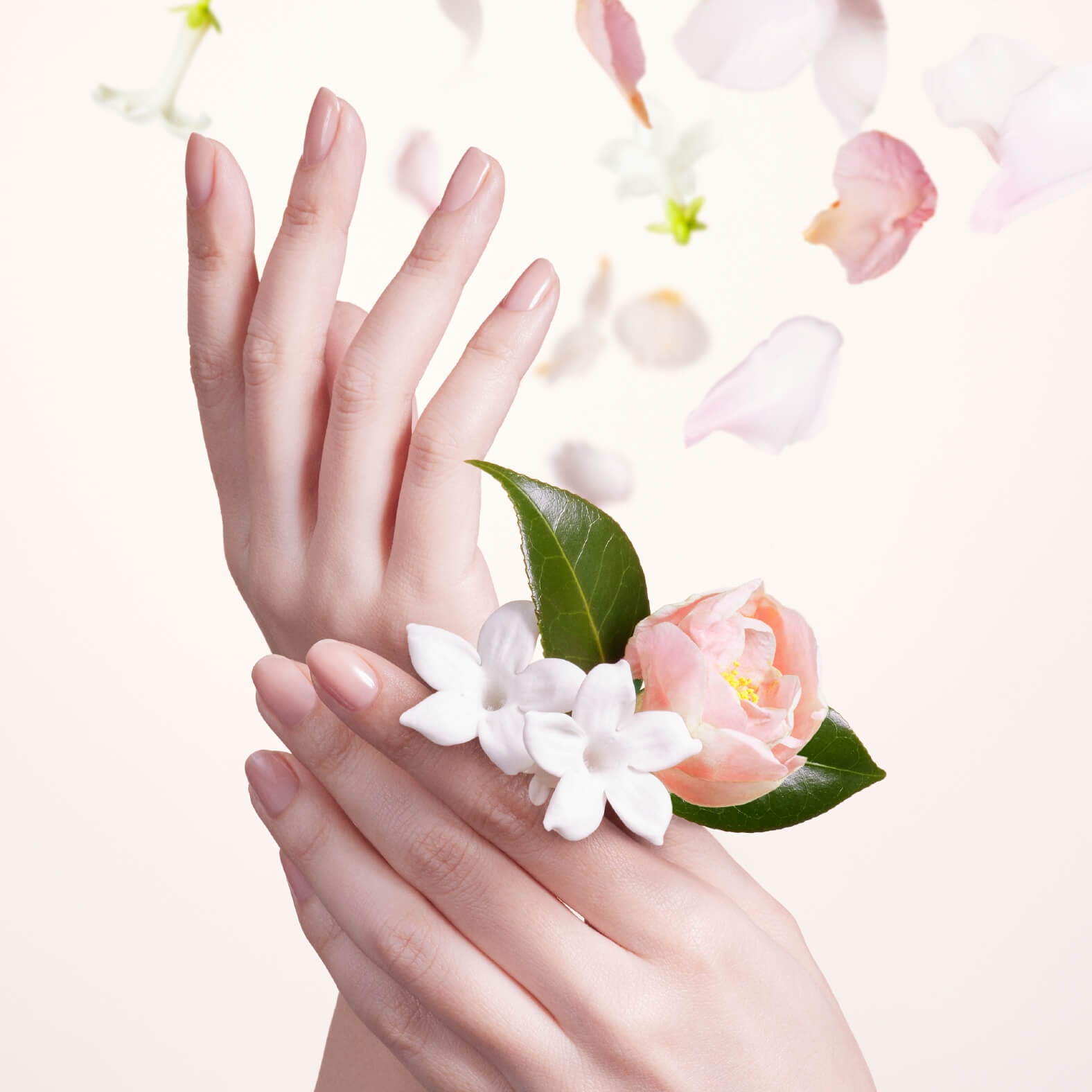 SPRING CAMPAIGN 2026(4月14日までのキャンペーン)開催中!