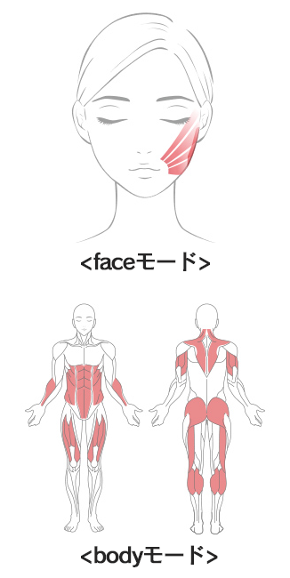 リファカラットリフトの適用
